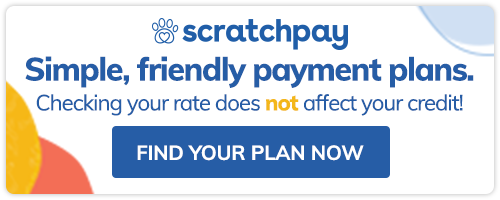 scratchplay logo
